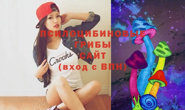 ПСИЛОЦИБИНОВЫЕ ГРИБЫ Абинск