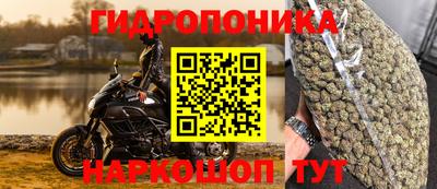 прущие крисы Пенза