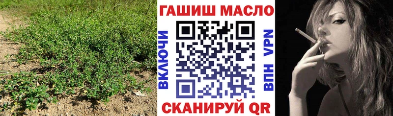 ТГК гашишное масло  купить наркотик  KRAKEN ТОР  Россошь 