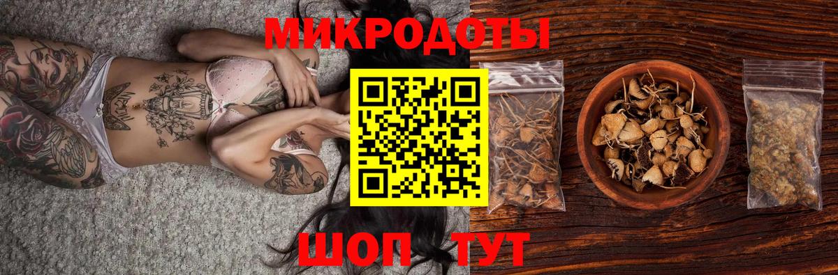 Галлюциногенные грибы Psilocybine cubensis Россошь