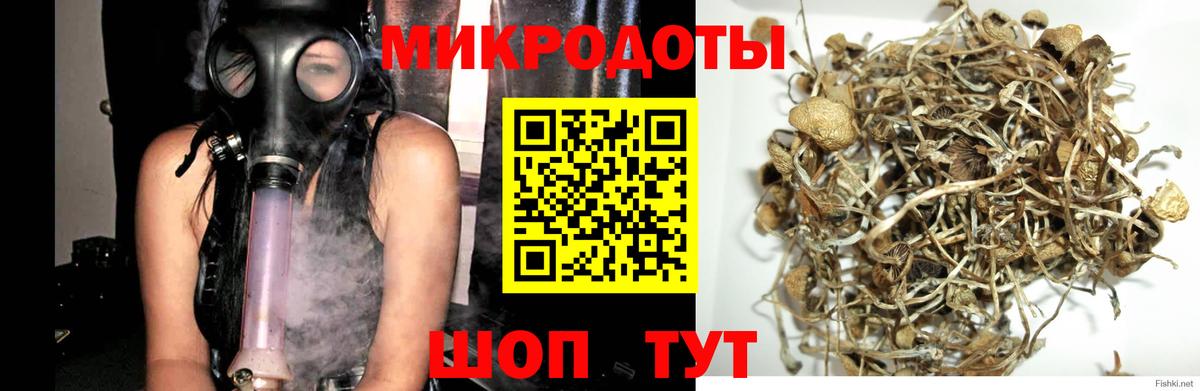 Псилоцибиновые грибы Psilocybine cubensis  Вход с VPN  купить наркотик  Россошь 